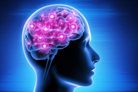 Chè dưỡng nhan giúp tăng cường não bộ